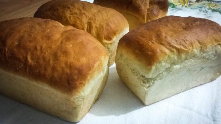 pão macio e fofinho